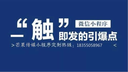 自带流量的小程序定制开发,助力企业提高市场竞争力